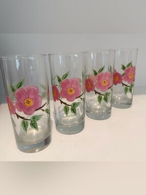 Franciscan Desert Rose Tall Water Glasses Set 4 Anthropologie Style